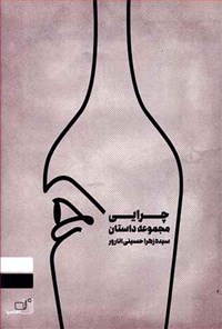 کتاب چرایی اثر سیده زهرا حسینی انارور