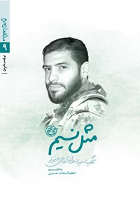 کتاب مثل نسیم؛ سیداحسان حاجی حتم‌لو (مدافعان حرم ۹) اثر اعظم‌سادات حسینی