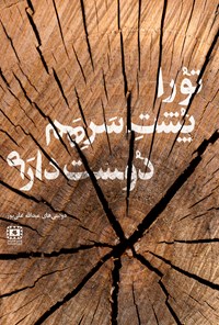 کتاب تو را پشت سرهم دوست دارم اثر عبدالله علی‌پور