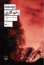 بیست زخم کاری اثر سیدمحمود حسینی‌زاده