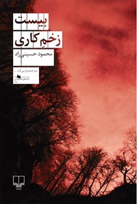 کتاب بیست زخم کاری اثر سیدمحمود حسینی‌زاده