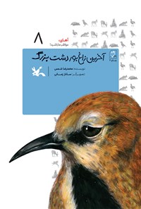 کتاب آخرین زاغ بور دشت بزرگ اثر محمدرضا شمس