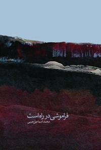 کتاب فراموشی در راه است اثر محمد اسماعیل حبیبی