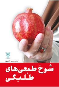کتاب شوخ طبعی‌های طلبگی اثر محمدحسین قدیری