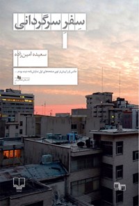 کتاب سفر سرگردانی اثر سعیده امین‌زاده