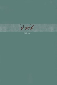 کتاب کوچولو اثر هما احمدی طباطبایی