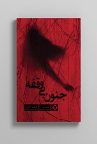 کتاب جنون بی وقفه اثر فرشته احمدی