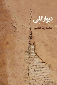 کتاب دیوار گلی اثر محمدرضا غلامی