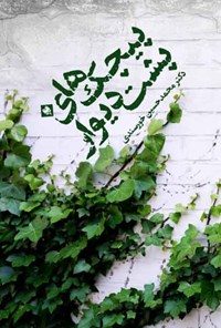 کتاب پیچک های پشت دیوار اثر محمدحسین خورسندی