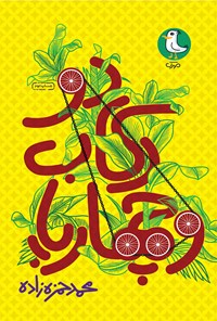 کتاب دو رکاب و چهار پا اثر محمد حمزه‌زاده