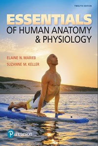 کتاب Essentials of Huan Anatomy & Physiology اثر Elaine N Marieb