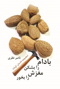 کتاب بادام را بشکن مغزش را بخور اثر ناصر نظری