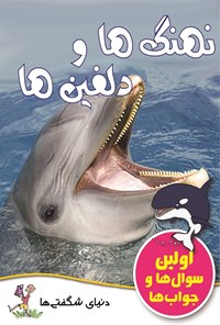 کتاب نهنگ ها و دلفین ها اثر انتشارات مایلز کلی