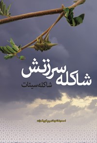 کتاب شاکله سرزنش، شاکله سیئات اثر احمدرضا اخوت